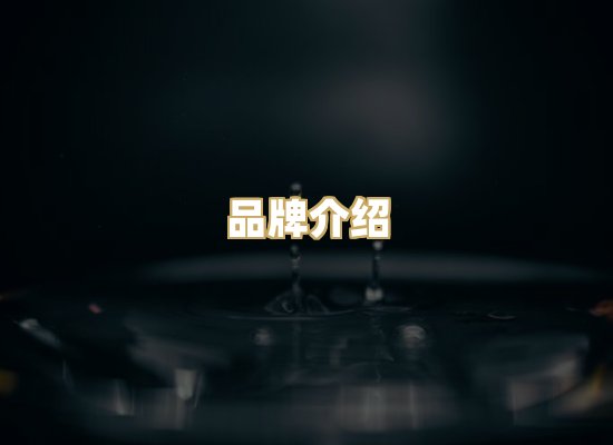 品牌介绍