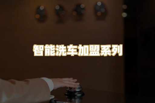 智能洗车加盟系列