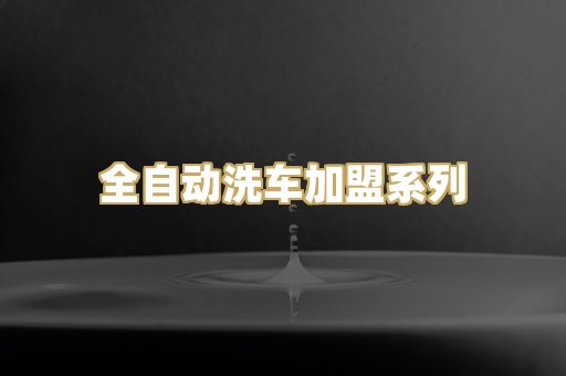 全自动洗车加盟系列
